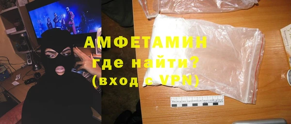 индика Володарск
