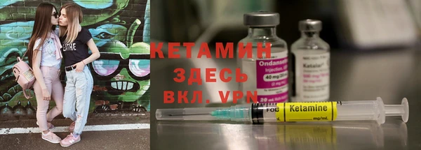 индика Володарск