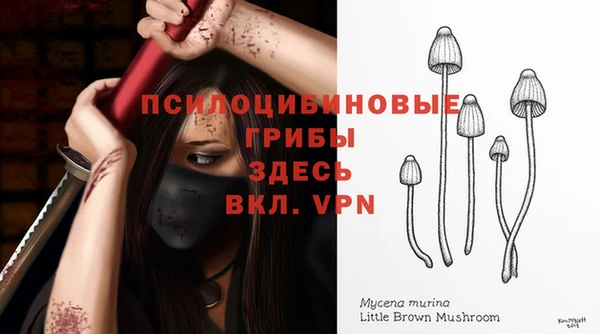 индика Володарск