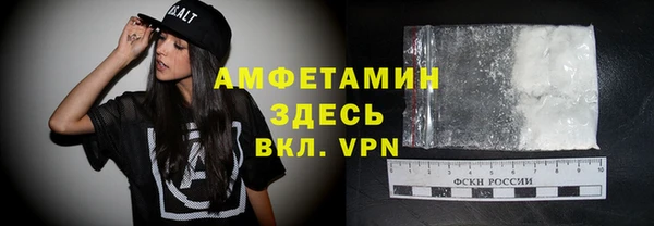 индика Володарск