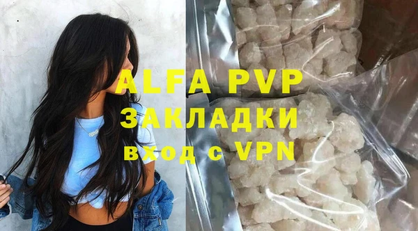 индика Володарск