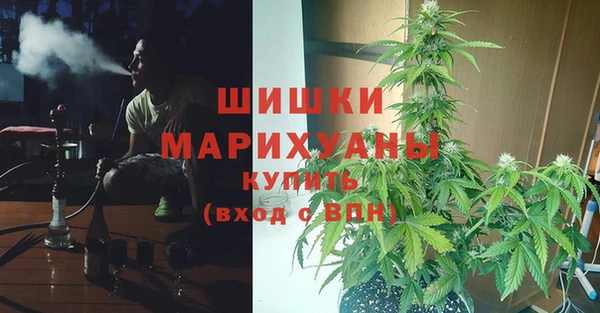 индика Володарск
