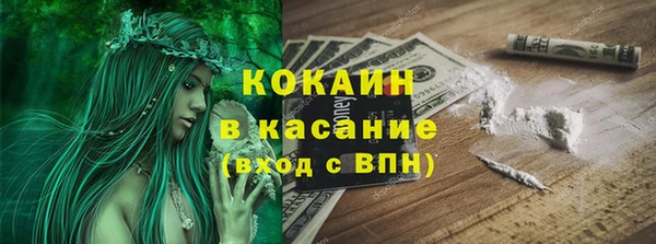 индика Володарск