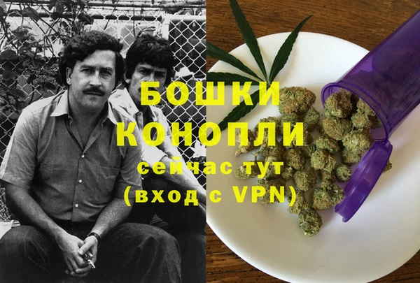 индика Володарск