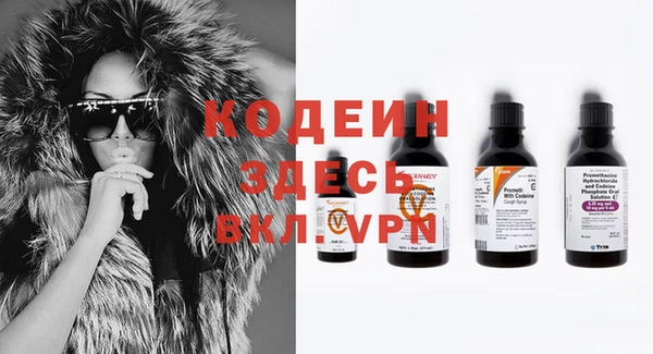 индика Володарск