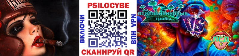Псилоцибиновые грибы мицелий  Переславль-Залесский 