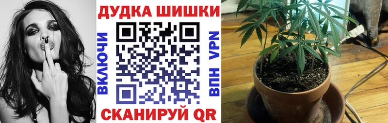 Бошки марихуана VHQ площадка как зайти Переславль-Залесский продажа наркотиков